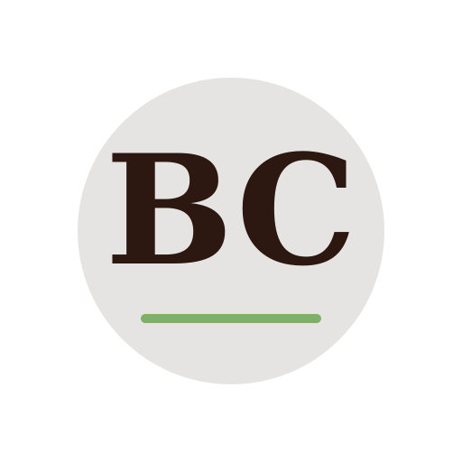 Bronson Chimney Repair logo